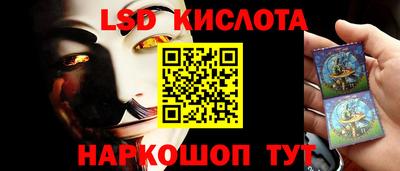 СК Владимир